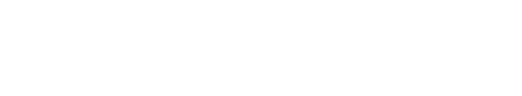ICEX Spain